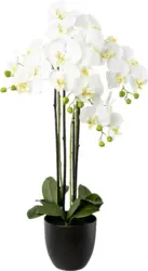 Kunstpflanze Phalänopsis in Weiß
