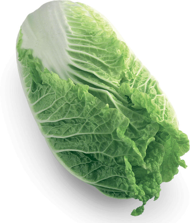 Chinakohl