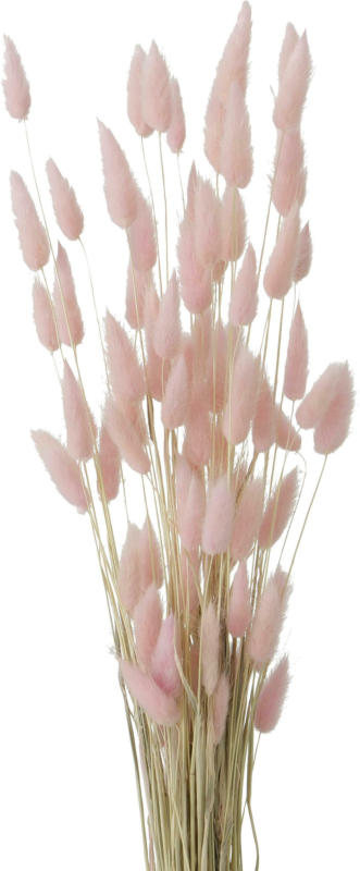 Kunstpflanze Samtgras in Naturfarben/Rosa ca. 60cm