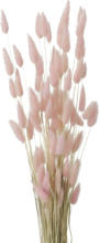 mömax Spittal a. d. Drau Kunstpflanze Samtgras in Naturfarben/Rosa ca. 60cm