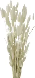 Kunstpflanze Samtgras in Creme ca. 60cm