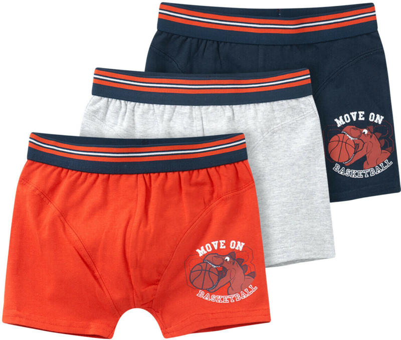 3 Jungen Boxer mit Basketball-Dino