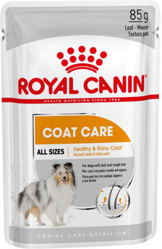 Royal Canin Hund Adult Coat Care Nassfutter für glänzendes Fell 12x85g