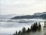 Möbelix Leinwandbild Wald mit Nebel Naturmotiv Grau/Blau 116x84 cm