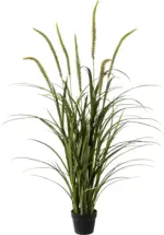 m&ouml;max Dornbirn - Ihr Trendm&ouml;belhaus in Dornbirn Kunstpflanze Miscanthus I