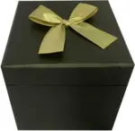 mömax Dornbirn - Ihr Trendmöbelhaus in Dornbirn Box mit Deckel Goldie in Schwarz