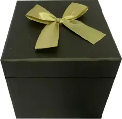 Box mit Deckel Goldie in Schwarz