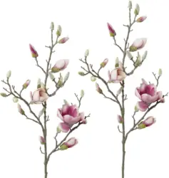 Dekozweig-Set Magnolie, 2er Set