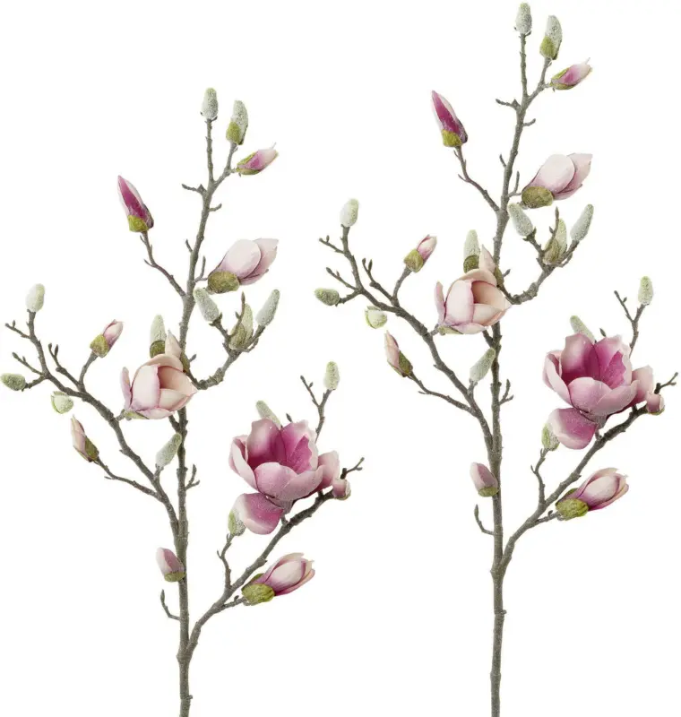 Dekozweig-Set Magnolie, 2er Set