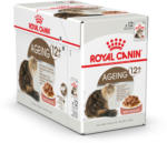 QUALIPET Royal Canin Katze Ageing 12+ Sauce 12x85g