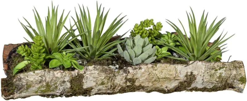 Sukkulente 335661LO-00 aus Kunststoff