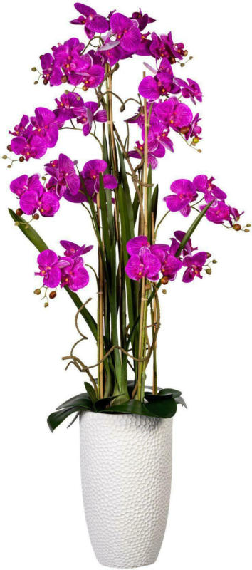 Kunstpflanze 1721308LO-80 Phalaenopsis
