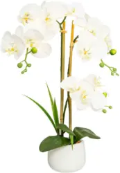 Kunstpflanze 1721315LO-48 Phalaenopsis