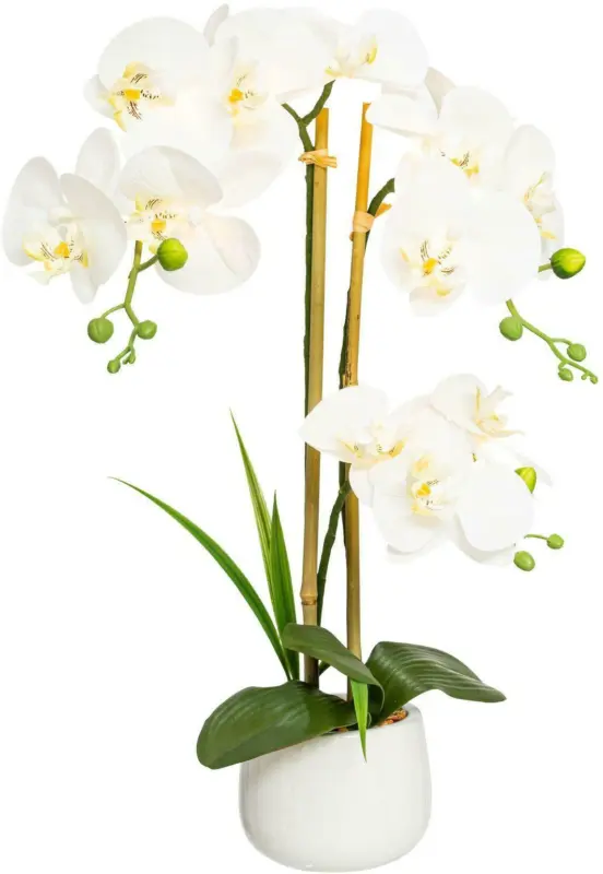 Kunstpflanze 1721315LO-48 Phalaenopsis
