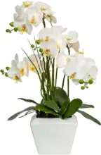 mömax Dornbirn - Ihr Trendmöbelhaus in Dornbirn Kunstblume 1721317LO-48 Phalaenopsis