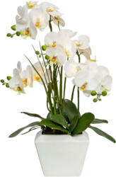 Kunstblume 1721317LO-48 Phalaenopsis