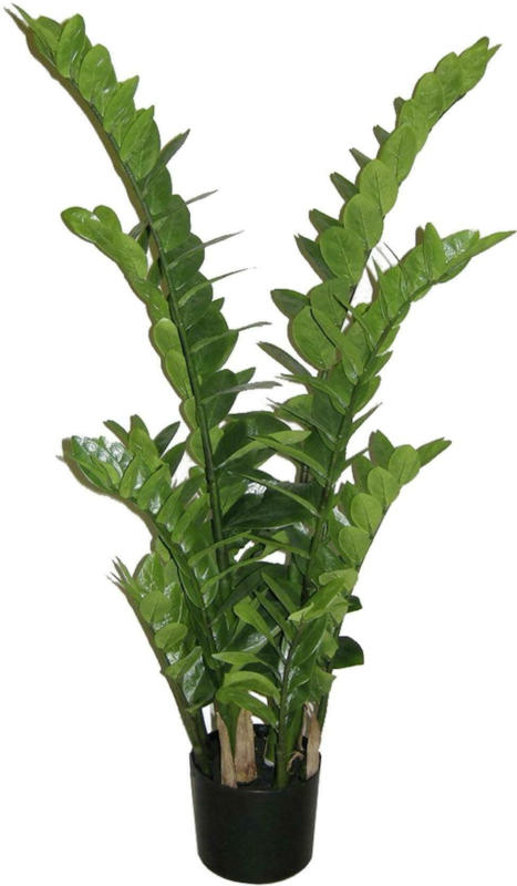 Kunstpflanze 1916602LO-50 Zamifolia