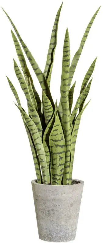 Kunstpflanze 3317407LO-50 Sanseveria