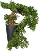 mömax Bonsai 3319178LO-50 aus Kunststoff