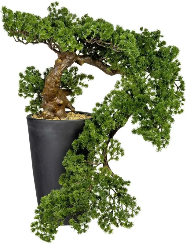 Bonsai 3319178LO-50 aus Kunststoff