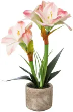 mömax Dornbirn - Ihr Trendmöbelhaus in Dornbirn Amaryllis 1121502LO-10 aus Kunststoff