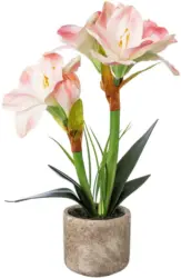 Amaryllis 1121502LO-10 aus Kunststoff