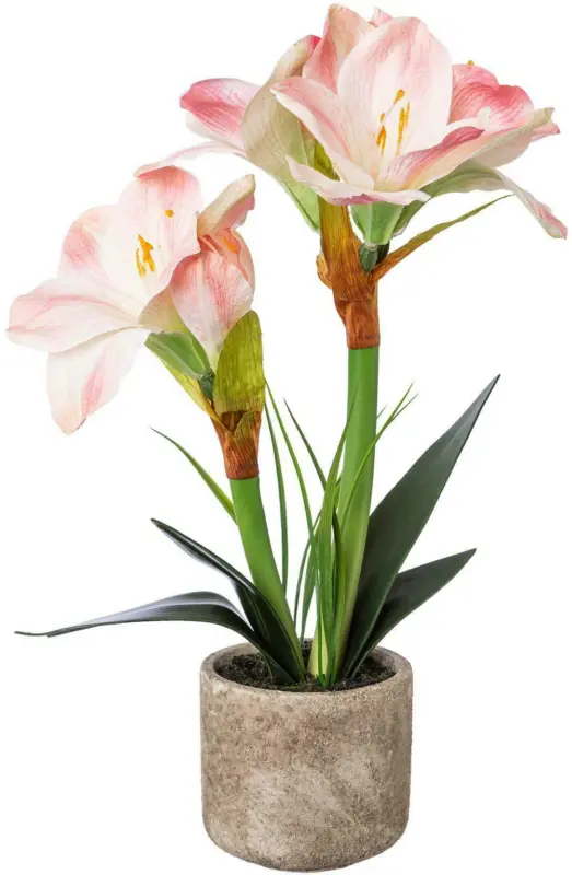 Amaryllis 1121502LO-10 aus Kunststoff