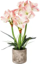 mömax Amaryllis 1121503LO-10 aus Kunststoff