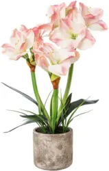 Amaryllis 1121503LO-10 aus Kunststoff