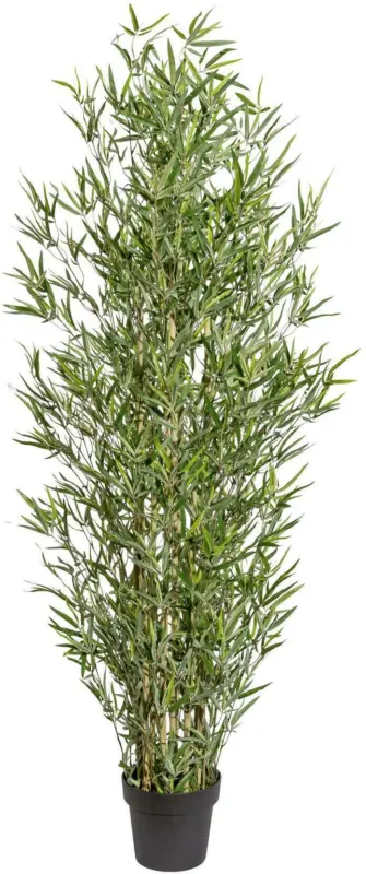 Bambus 3317304LO-50 aus Kunststoff