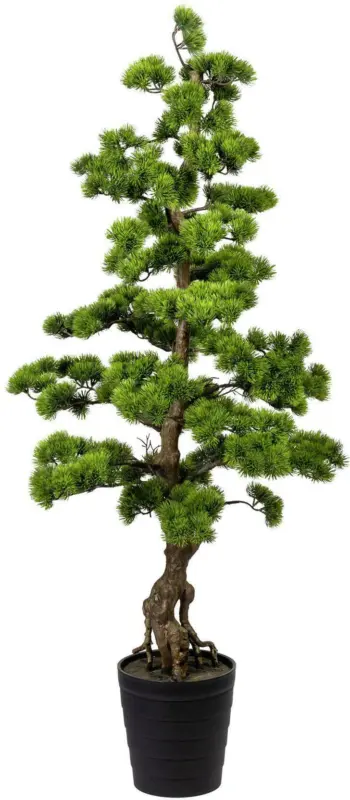 Bonsai 3320179LO-50 aus Kunststoff