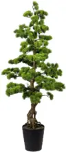 mömax Dornbirn - Ihr Trendmöbelhaus in Dornbirn Bonsai 3320179LO-50 aus Kunststoff