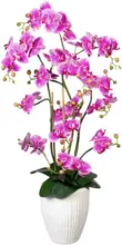 mömax Dornbirn - Ihr Trendmöbelhaus in Dornbirn Kunstblume 1721307LO-85 Orchidee
