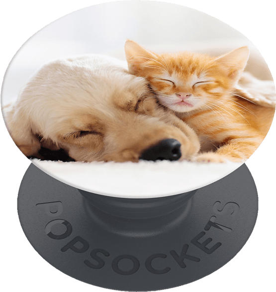 Phone Grip & Stand, Basic - Cat & Dog