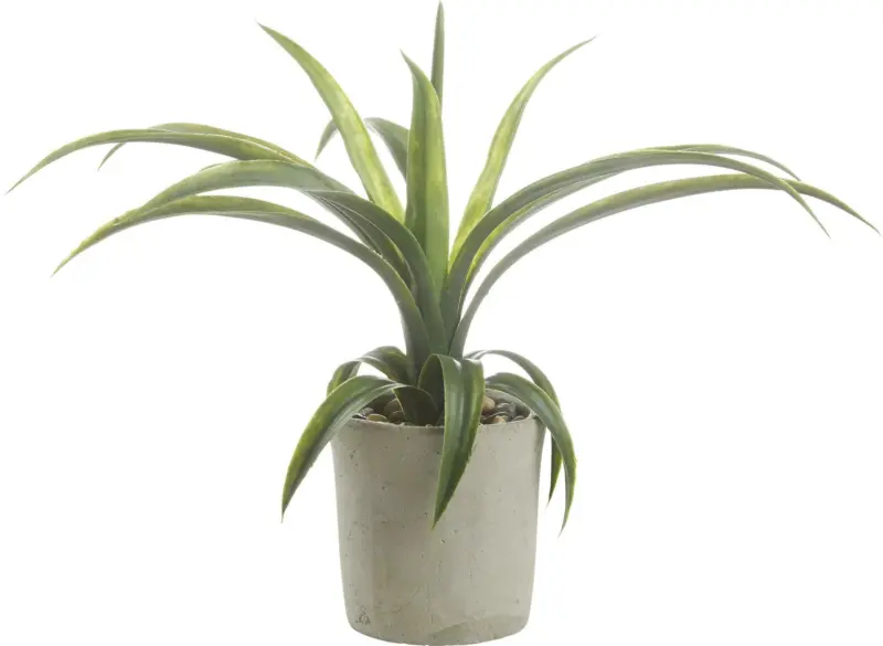 Kunstpflanze Agave in Grün