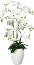 mömax Spittal a. d. Drau Kunstblume 1721307LO-40 Orchidee