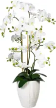mömax Dornbirn - Ihr Trendmöbelhaus in Dornbirn Kunstblume 1721307LO-40 Orchidee