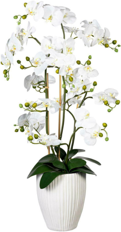 Kunstblume 1721307LO-40 Orchidee