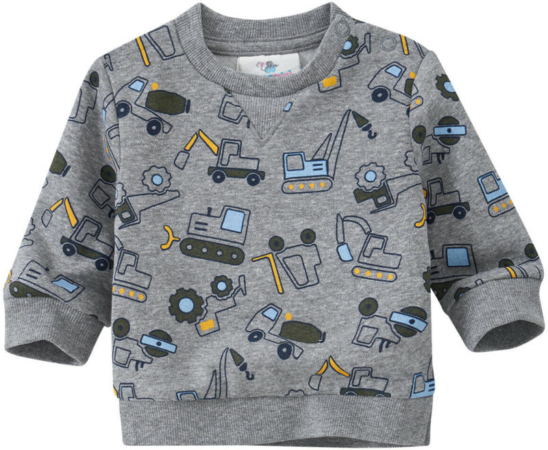 Newborn Sweatshirt mit Fahrzeug-Allover