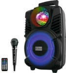 Landi Karaoke Anlage mit Licht