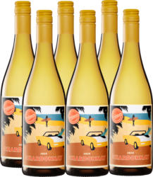 Sunbeam Chardonnay California , 2020, Kalifornien, USA, 6 x 75 cl