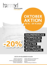 Hammerl TextilCare Hammerl TextilCare Oktober 2022 - bis 29.10.2022