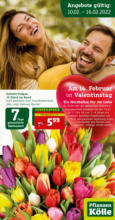 Pflanzen-Kölle Gartencenter Pflanzen Kölle: Valentinstag am 14.2. - bis 16.02.2022