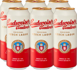 Birra lager Original Budweiser, 6 x 50 cl