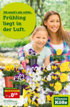 Pflanzen-Kölle Gartencenter Pflanzen Kölle: Frühling liegt in der Luft - bis 20.03.2022