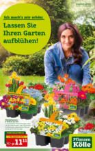 Pflanzen-Kölle Gartencenter Pflanzen Kölle: Lassen Sie Ihren Garten aufblühen! - bis 27.03.2022
