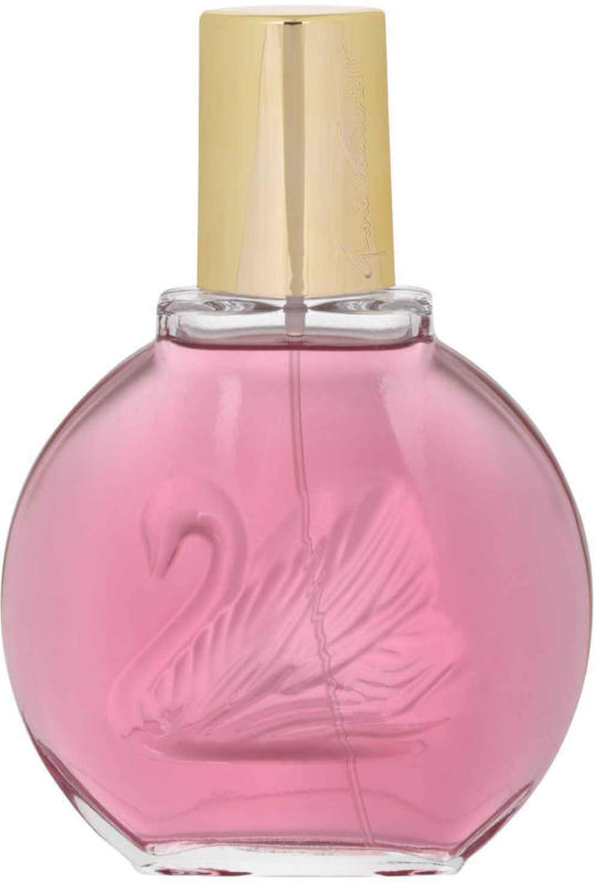 Gloria Vanderbilt Minuit à New York Eau de Parfum 100 ml -