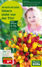 Pflanzen-Kölle Gartencenter Pflanzen Kölle: Ostern steht vor der Tür - bis 16.04.2022