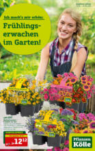 Pflanzen-Kölle Gartencenter Pflanzen Kölle: Frühlingserwachen im Garten! - bis 24.04.2022