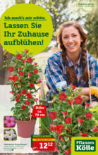 Pflanzen-Kölle Gartencenter Pflanzen Kölle: Lassen Sie Ihr Zuhause aufblühen - bis 01.05.2022